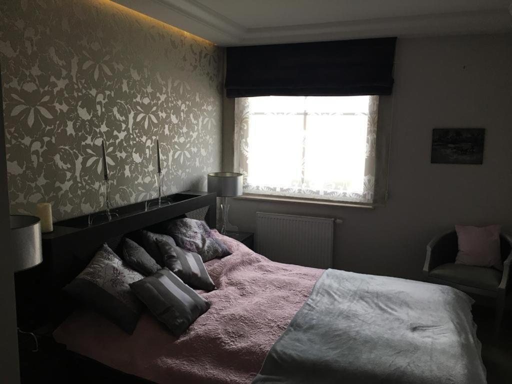 Apartment Platinium Lokietka *